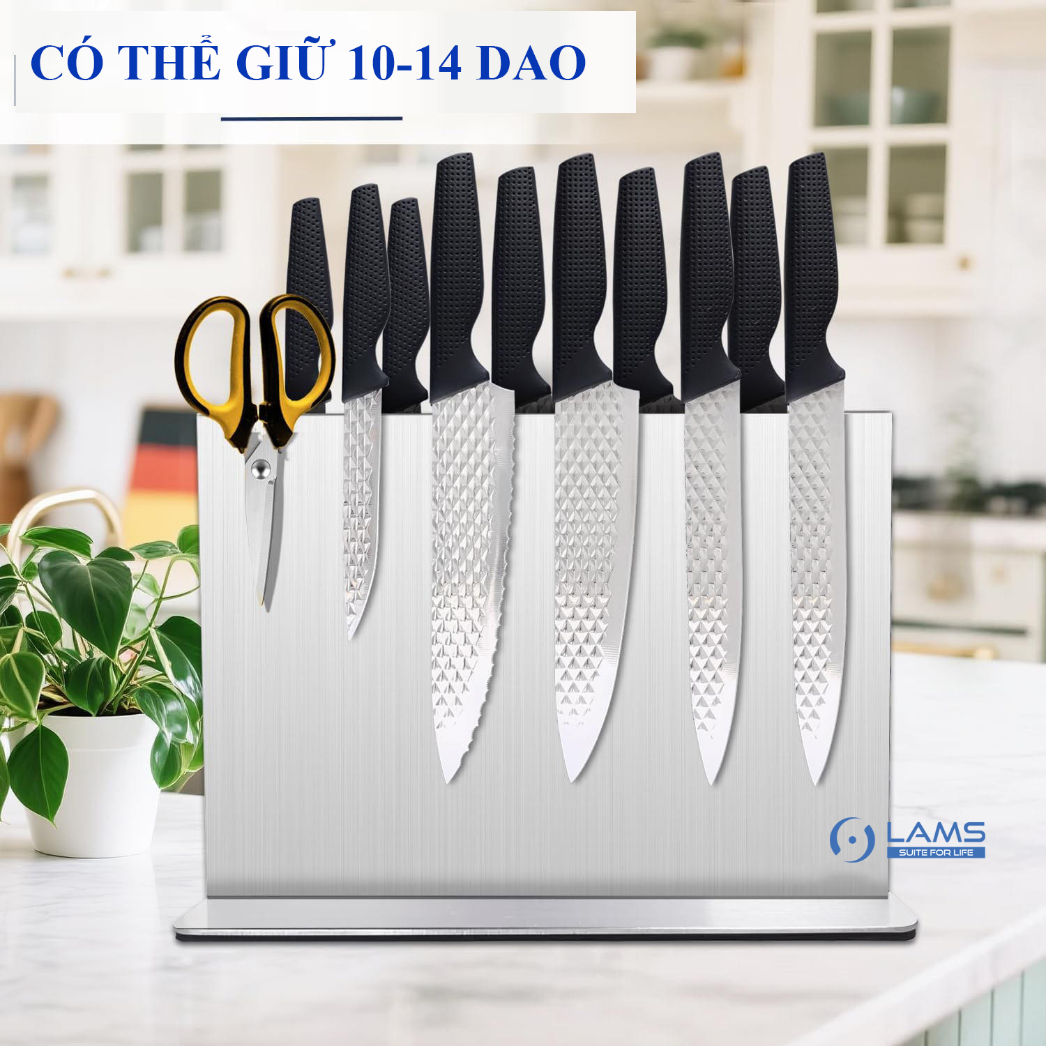 GIA DAO NAM CHAM INOX 3 GIA DAO NAM CHAM INOX 2